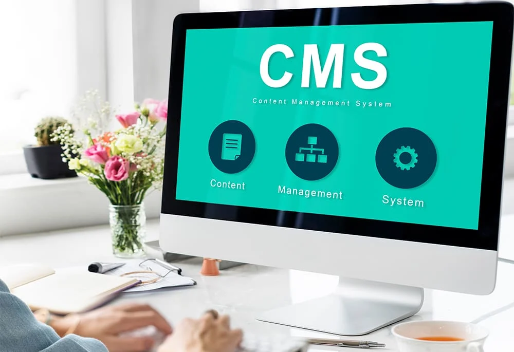 custom CMS development services
