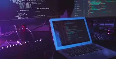 Efficient coding  