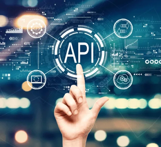 PHP API Development Services