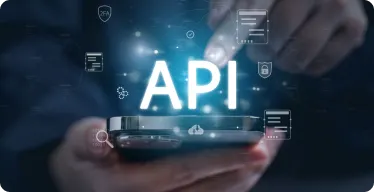 api integration